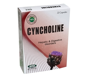Cyncholine
